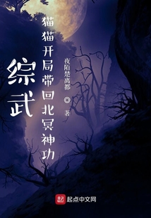 综武:猫猫开局带回北冥神功