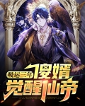 吸运三年,傻婿觉醒仙帝