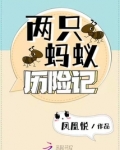 两只蚂蚁历险记