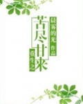 重生之苦尽甘来