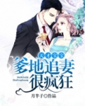 天才宝宝:爹地追妻很疯狂