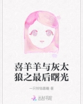喜羊羊与灰太狼之最后曙光