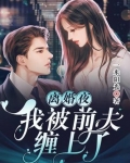 离婚夜,我被前夫缠上了