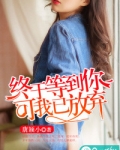 终于等到你,可我已放弃
